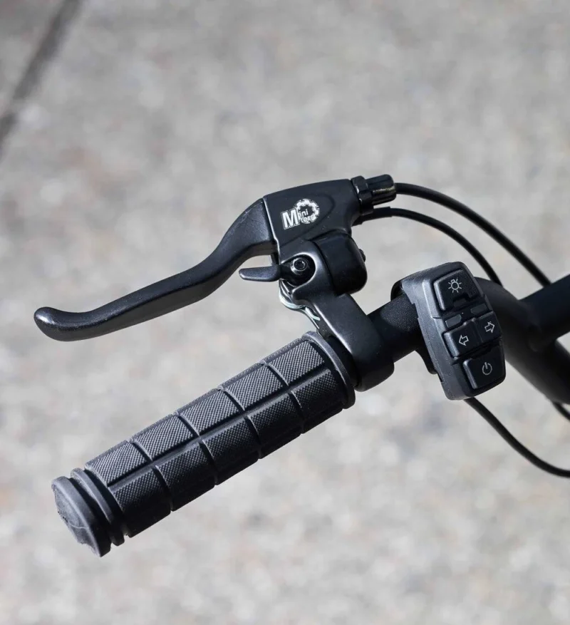 Trottinette Électrique Dualtron Togo  - Image 17